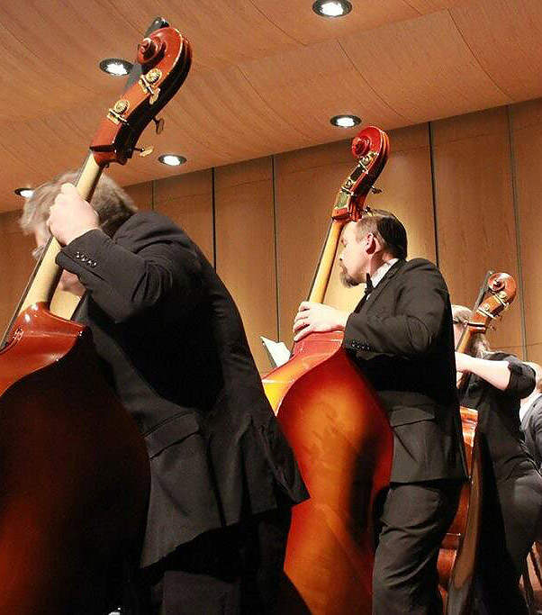 bass players in orchestra